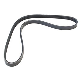 MAPCO V-Ribbed Belts (240805)