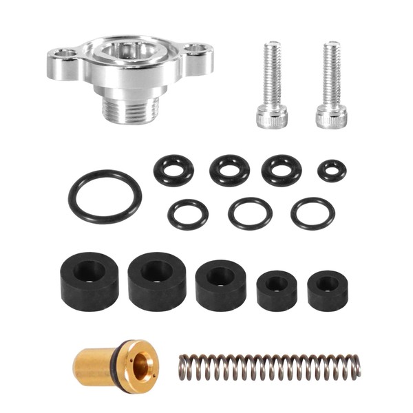 YIUIY Fuel Relief Pressure Regulator Valve Cap Spring Seal Kit