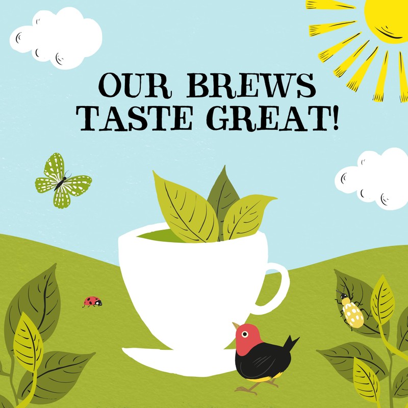 Clipper Tea, Organic Fairtrade Everyday, Organic, USDA Non-GMO, Fair Trade,