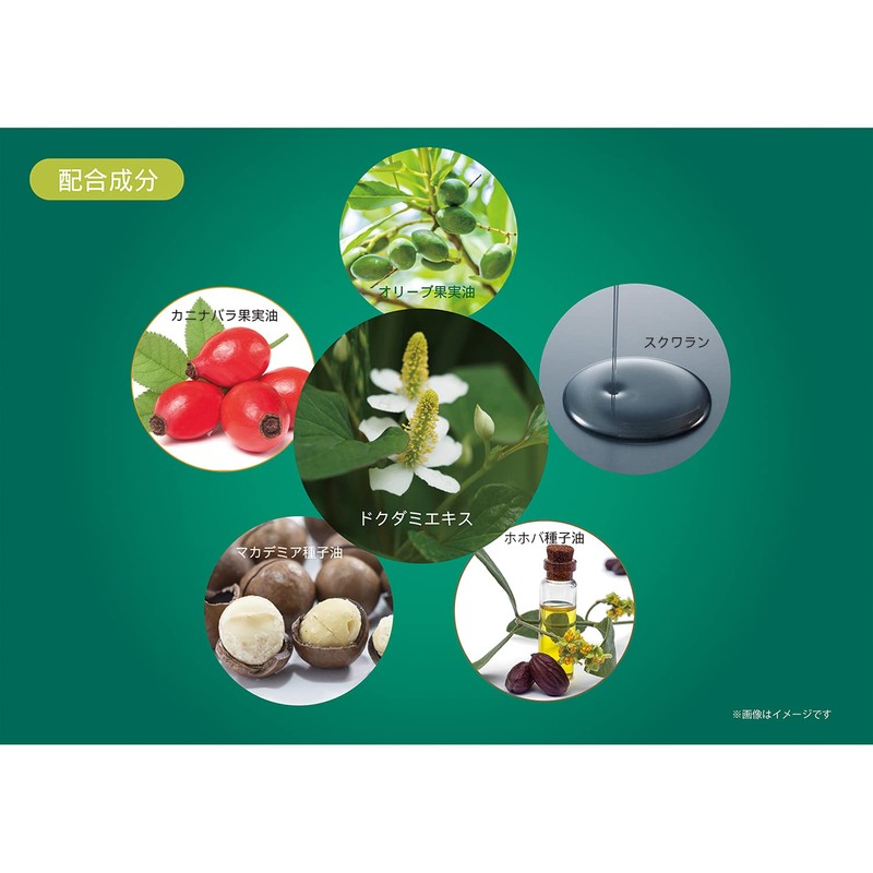 Chichiosha DN Moisture Cream (Dokudami Cream), 6.3 oz (185 g)