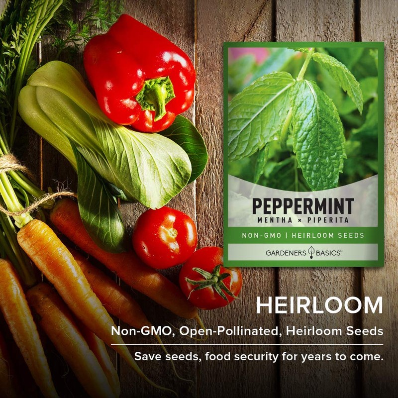 Peppermint Seeds for Planting is A Heirloom, Open-Pollinated, Non-GMO Herb