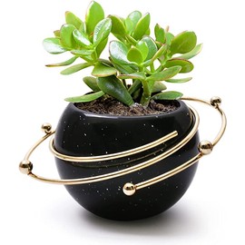 SOSFKIM Succulent Ceramic Pots, 5 Inch Modern Low Temperature Ceramic Flower Pot with Metal Spiral for Cactus, Herbs, Home and Office Decor, Plants Not Included