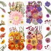 DALARAN 95Pcs Dried Pressed Flowers for Resin Mold Real Natural