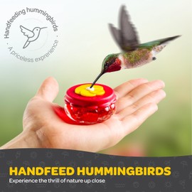 Handheld Small Glass Hummingbird Feeders (Set of 4) with Window Suction Mount Base - Window/Handheld or Tabletop Mini Hummingbird Feeders for Outdoors
