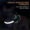 Haapaw Essential Dog Harness, No Pull Pet Vest with 3
