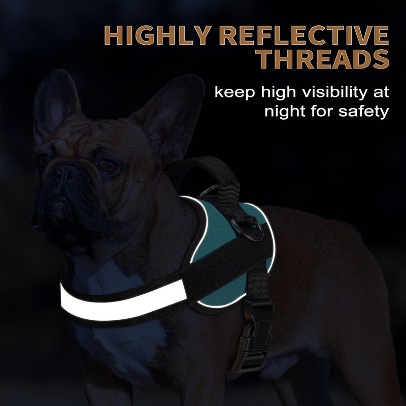 Haapaw Essential Dog Harness, No Pull Pet Vest with 3