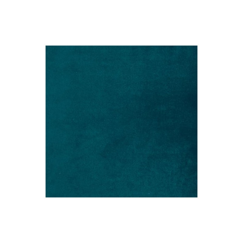 Brvsk Sea. Velvet Cushion Back for Needlepoint Kits up to
