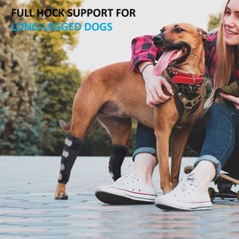 Bawektrl Dog Leg Braces for Back Legs, Canine Hock Brace for Rear Legs with Metal Strips and Safety Reflective Straps, Joint Warps Support Help Hind Legs Injuries Sprains Arthritis Torn ACL(1 Pair)