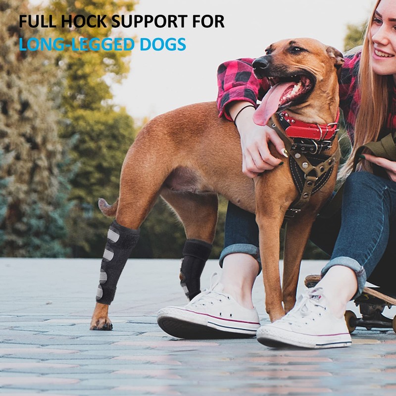 Bawektrl Dog Leg Braces for Back Legs, Canine Hock Brace