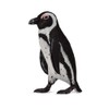 CollectA South African Penguin