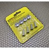 Set of Plastic License Plate Caps and Stainless Steel Screws