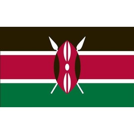 Valley Forge Flag 4-Foot by 6-Foot Nylon Kenya Flag