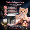 Perfect Sense Sustituto de Leche para Gatitos 360 g con