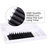 W Eyelash Extensions 3D Volume 0.07D Curl 12mm Easy Fan