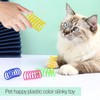 Pack of 60 Cat Toy Spiral, Spring Toy Cat Interactive