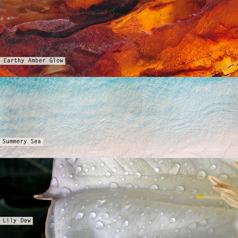 Illume Beautifully Done Refillable Boxed Glass Candle, Isla Lily