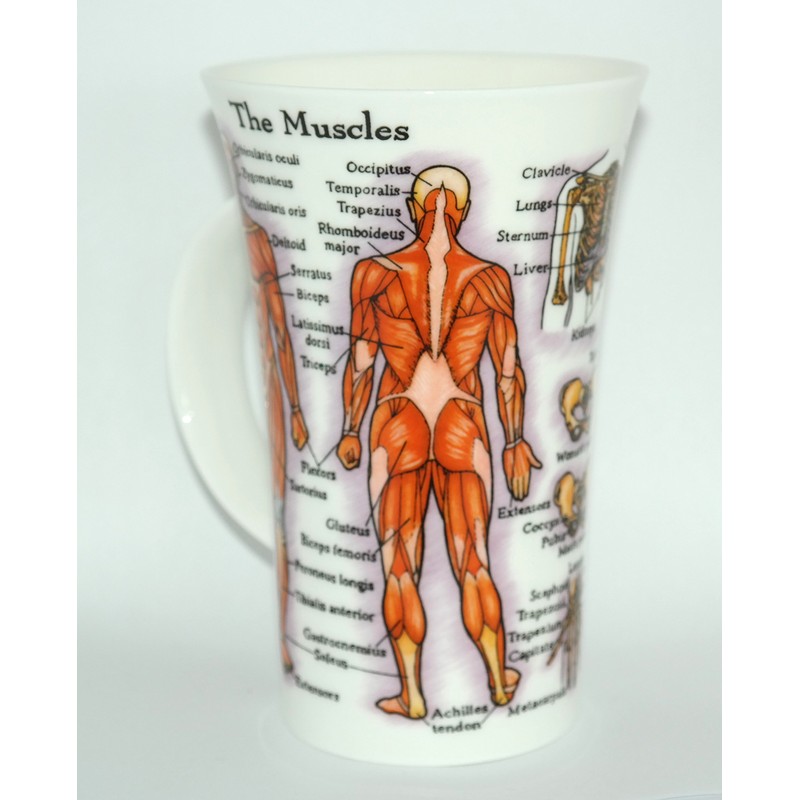 DUNOON Tasse „The Human Body“