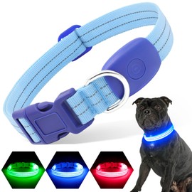 PZRLit Light Up Dog Collars Rechargeable, Reflective LED Glow Dark Dog Collar for Small Medium Large Dogs, Adjustable Pet Dog Lights for Safe Night Walk-Blue, Medium