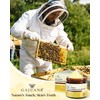 GAJUANR Bee Venom Moisturizing Cream, All-in-One Nourishing Moisturizer with Hyaluronic