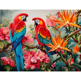 NAIMOER Diamond Painting Birds, Diamond Painting Adult Parrots Diamond Painting Adult Pictures Animals Diamond Painting Children 5D Diamond Painting Embroidery for Home Decor (30 x 40 cm)
