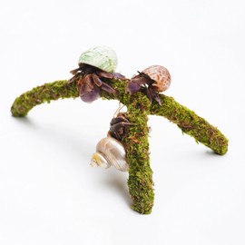 Jinymral Hermit Crab Climbing Toys, Adjustable Hermit Crab Supplies, Hermit Crab Habitat Tank Accessories