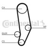 Contitech CT704 Timing Belt