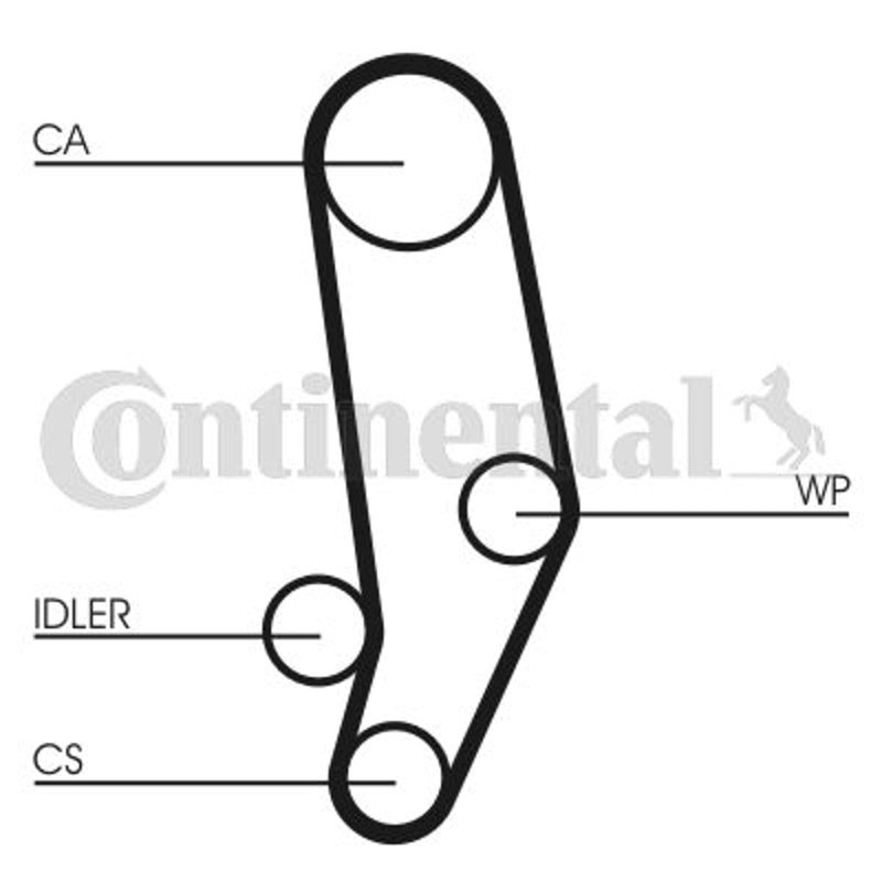 Contitech CT704 Timing Belt