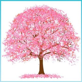 Wall Tapestry Cherry Blossoms H 47.2 x W 47.2 inches (120 x 120 cm), Tropical [1 piece]