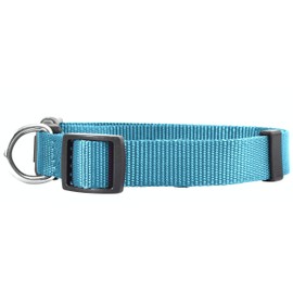 Native Pup Basic Nylon Dog Collar, Adjustable for Small, Medium, Large pet and Puppies Accessories, Cute Colors for Male, Female, boy, Girl, Puppy (Small, Turquoise)