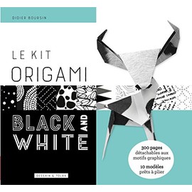 Le Kit origami Black and White: 300 pages détachables aux motifs graphiques - 10 modèles prêts à plier