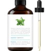 Handcraft Blends Spearmint Essential Oil – Huge 4 Fl Oz