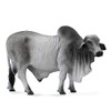 CollectA 88579 Grey Polled Brahman Bull, 5.3"L x 3.3"H ,