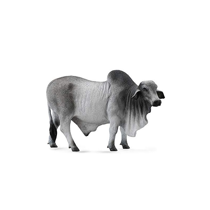 CollectA 88579 Grey Polled Brahman Bull, 5.3"L x 3.3"H ,