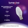 lumenivo 4 Watt Incandescent Light Bulb 4W Clear Bulb for