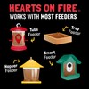 COOL BIRDS Hearts on Fire Hot Bird Seed – 10