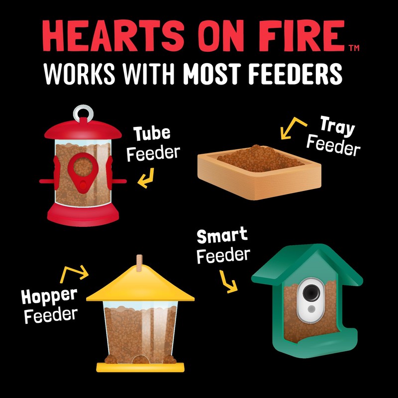 COOL BIRDS Hearts on Fire Hot Bird Seed – 10