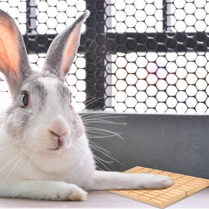 Bohue Rabbit Wooden Scratching Board Grinding Deck Bunny Claws Scratching
