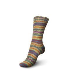 Regia Sock Yarn 4-ply, Arne & Carlos Design Line (3830 - Ose)
