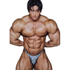 FIED Bodybuilding Posing Trunks – Handmade in Korea, Competition-Ready - HOLOGRAM The Silver (US, Alpha, X-Large, Regular, Regular, SILVER)