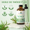 EVOKE OCCU 100% natürliches ätherisches Teebaumöl, 118ml Volumen für Haarpflege,