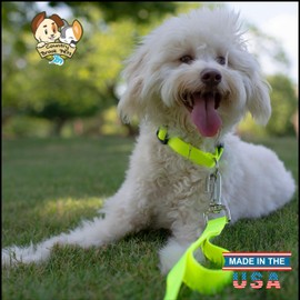 Country Brook Petz - American-Made Dog Collar for Large, Medium, and Small Dogs and Puppies - Deluxe Heavy Duty Nylon in 33 Dazzling Colors (Small, 3/4 Inch Wide, Hot Yellow)