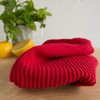 NOW DESIGNS Red Ripple Dish Cloth 2 Pk, 1 EA