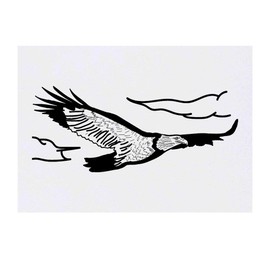 'Eagle In Flight' Temporary Tattoo - Water Resistant, Skin-Safe, Non-Toxic Transfer (TO00021665)