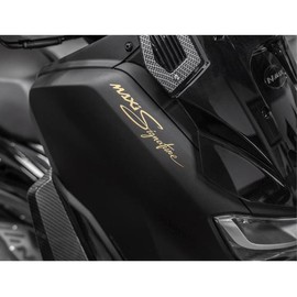 NMAX 125 Yamaha NMAX Rider Motorcycle Decal Performance / nmax125 야마하 엔맥스 라이더 오토바이데칼 퍼포먼스