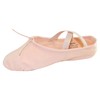 Danzcue Adult Split Sole Canvas Pink Ballet Slipper 8 M