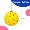 Marsden Balls for Hand-Eye Coordination and Visual Training 2 Colors
