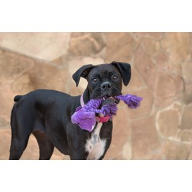 Multipet Rope Body Loofa 6" Dog Toy