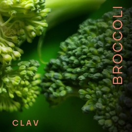 CLAV® Broccoli Sprout Extract - 100mg Sulforaphane per Serving - Broccoli Powder Rich in Vitamins and Minerals - 60 Capsules - Vegan - Antioxidants Supplement - Made in Germany