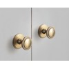 Goo-Ki 6 Pack Cabinet Knobs with Spacer Champagne Bronze Drawer