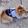 Parisian Pet Dog Shirt - Embroidered Dog Sailor Costume -
